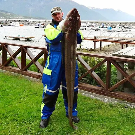 6 Person In Eidsv G Διαμέρισμα Eidsvåg